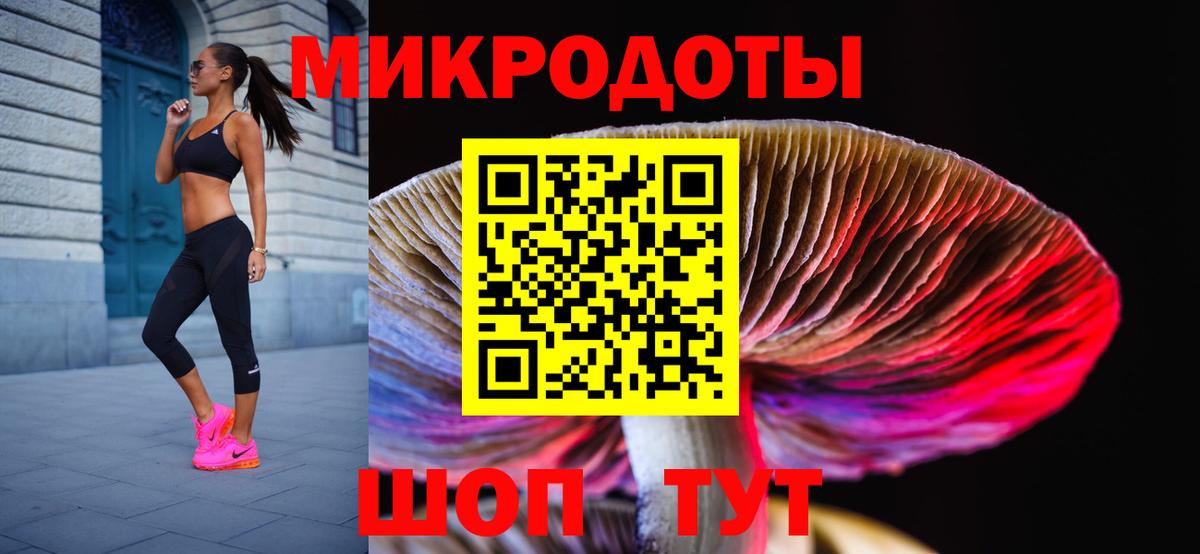 Омск  Псилоцибиновые грибы Psilocybe  Галлюциногенные грибы прущие грибы  Вход с VPN 